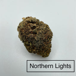 **NORTHERN LIGHTS