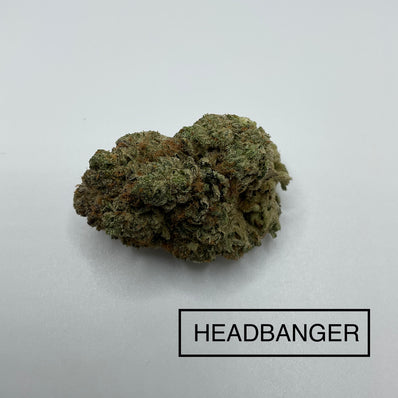 **AAAA BC HEADBANGER