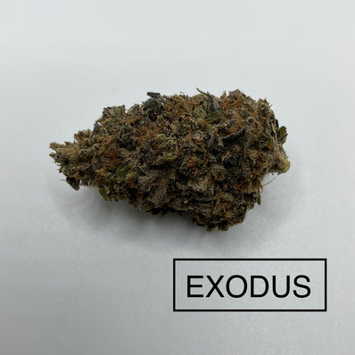 ** AAAA ++ BC EXODUS *** TOP SHELF PRODUCT***