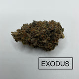 ** AAAA ++ BC EXODUS *** TOP SHELF PRODUCT***