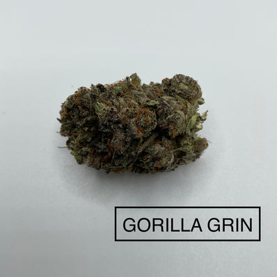 **AAAA BC GORILLA GRIN