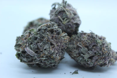 **AAAA BC BLACKWATER