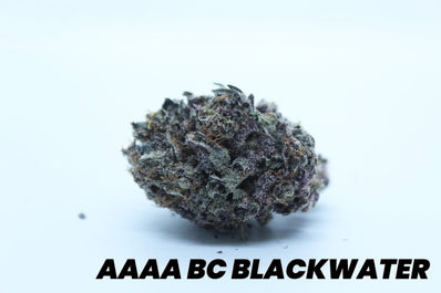 **AAAA BC BLACKWATER