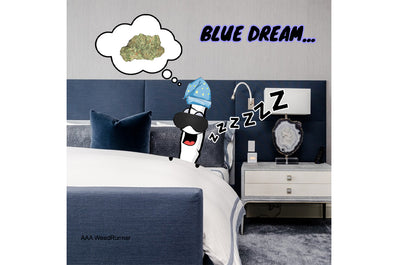 **AAAA BC BLUE DREAM