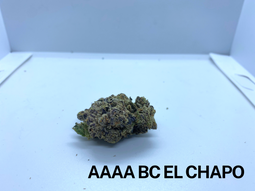 **AAAA BC EL CHAPO