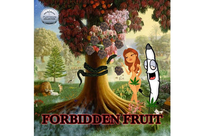 **FORBIDDEN FRUIT