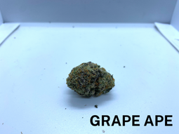 **AAAA BC GRAPE APE