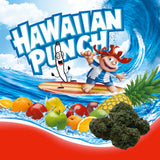 **AAAA BC HAWAIIAN PUNCH