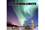 **NORTHERN LIGHTS
